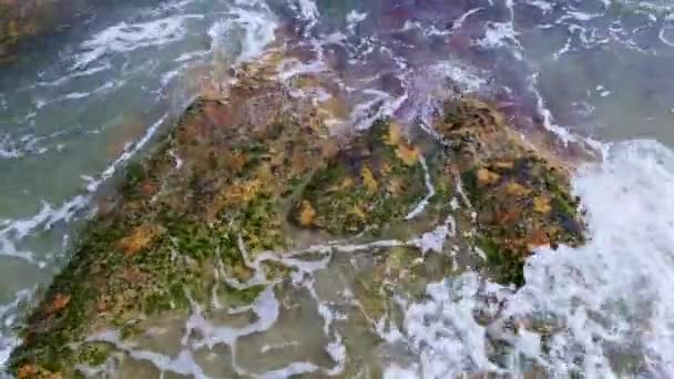 Close Footage Beach Waves Hitting Mossy Rocks Slow Upward Camera — Stock Video