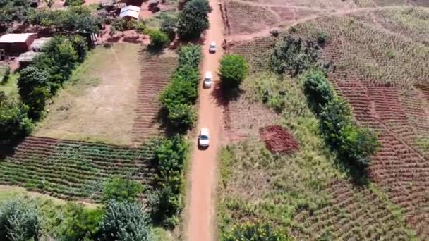 Pemandangan Drone Tiga Kendaraan Perjalanan Afrika Tengah Jalan Pedesaan — Stok Video