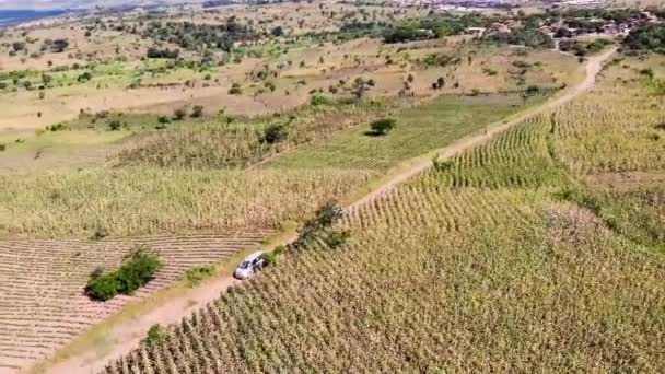 Two Cars Drive Dirt Road Corn Fields Central Africa Aerial — Vídeos de Stock