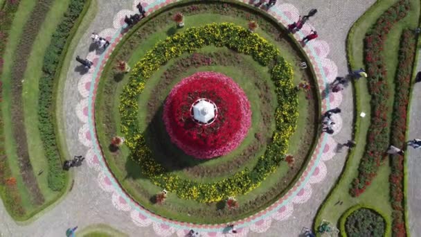 Вид Красивый Цветочный Сад Центре Города — стоковое видео