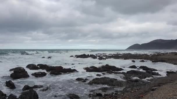 新西兰惠灵顿美丽而崎岖的海岸线上的岩石被狂暴的白浪冲刷着 — 图库视频影像