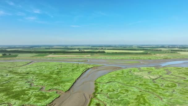 Beautiful High Aerial Shot Vibrant Green Wetlands Muddy Rivers Flowing — Stockvideo