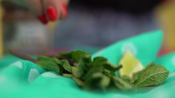 Uma Mão Feminina Pega Folhas Frescas Hortelã Balcão Cozinha — Vídeo de Stock