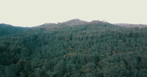 Vista Aérea Las Montañas Sintra Barragem Mula Reserva Lago Presa — Vídeos de Stock