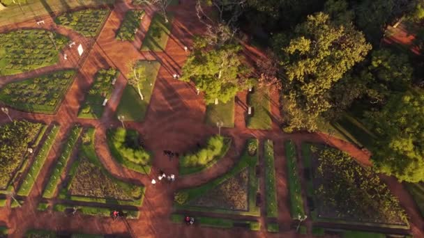 Aerial Birds Eye Shot People Walking Red Path Rosedal Palermo — Vídeo de Stock