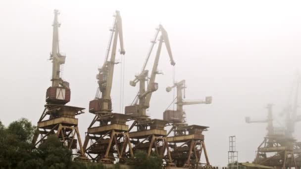 River Port Cranes Fog Danube River Austria — Stok video