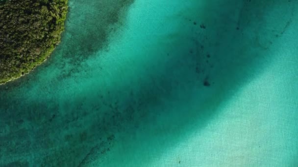 ニューカレドニアのパインズ島の透き通った水と海岸線を鳥の目で見る — ストック動画