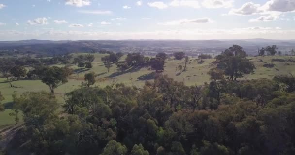 Aerial Flight Forest Australia Sun Clouds Background Long Distance Shot — Stockvideo