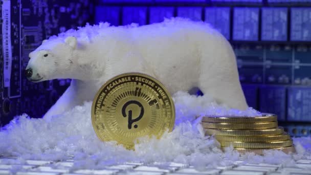 Polkadot Αρκούδα Έννοια Cryptocurrency Αγορά Χιόνι Και Πτώση Των Τιμών — Αρχείο Βίντεο