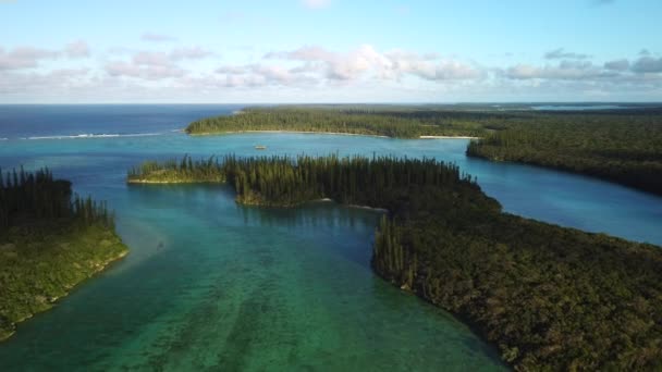 Flying Ile Mwareya Isle Pines Oro Bay New Caledonia Island — Video Stock