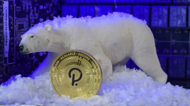 Crypto Bear Market Concept Snow Fall Polkadot Price Physical Coins — стоковое видео