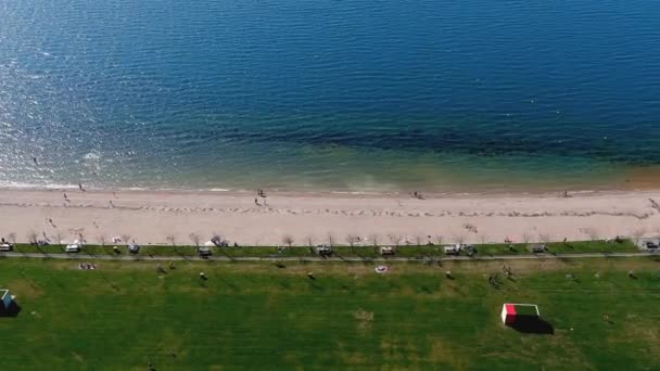 Lake Beach People Sunbathing Bathing Garden Walking Area Overhead Drone — ストック動画