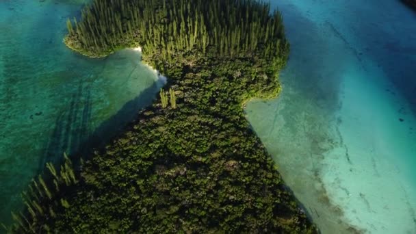Small Ile Mwareya Part Isle Pines New Caledonia Aerial Flyover — Stok Video