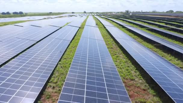 Paneles Solares Alineados Finca Fotovoltaica Energía Renovable Empuje Aéreo — Vídeos de Stock