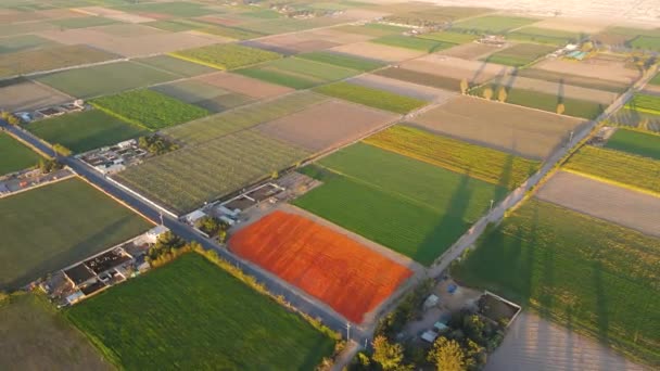 1日の異なる時間で 地域と農業と生活のその方法のペダルの空中ショット — ストック動画