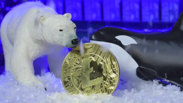 Bear Cryptocurrency Market Whale Manipulation Concept Litecoin Crypto Winter — 图库视频影像