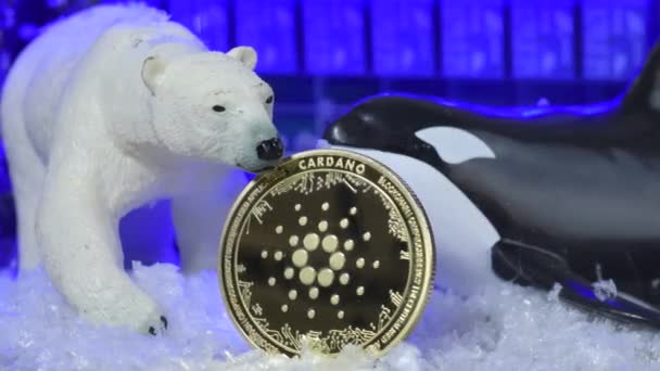 Cardano Ada Mince Krypto Zima Velryby Kryptoměna Vliv Bear Tržní — Stock video