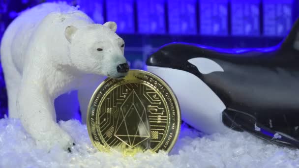 Crypto Bear Market Concept Whale Manipulate Price Snow Fall Frozen — Vídeos de Stock