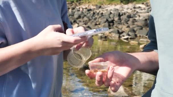 Bürgerwissenschaftlerin Führt Feldforschung Durch Und Fotografiert Meerestiere Einem Probengefäß — Stockvideo