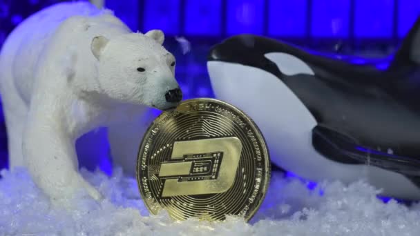 Whales Problem Cryptocurrency Doge Coin Unmoved Frozen Account Bear Market — 图库视频影像