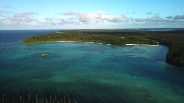 Oro Bay Ilha Pinheiros Nova Caledônia Retire Vista Aérea Paraíso — Vídeo de Stock
