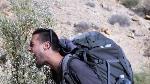 Hombre Adulto Excursionista Fingiendo Comer Flores Silvestres Camino Del Cráter — Vídeos de Stock