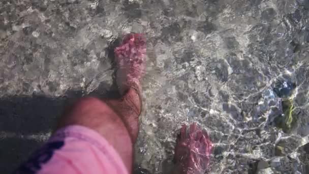 Man Wearing Pink Shorts Walks Barefooted Shallow Sea Water — 비디오