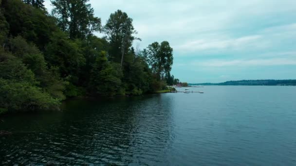 Sideways Drone Lake Washington Showing Ripples Water Large Trees Shore — Stockvideo