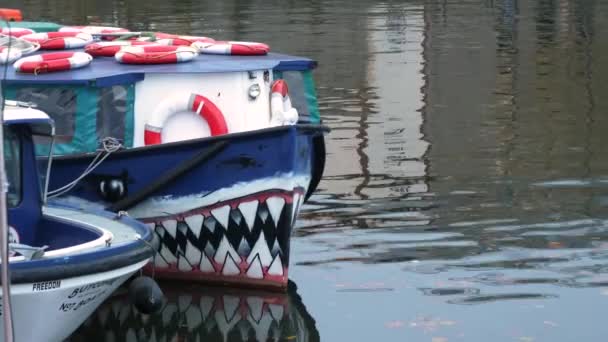 Bow Boat Painted Sharks Teetch Dock River Statisch — Stockvideo