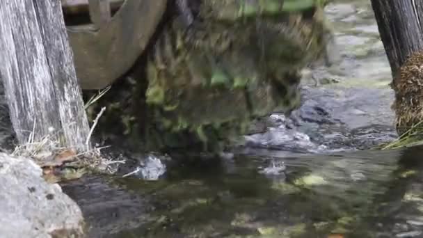 Closeup Mill Wheel Rotatating Top Stream Water Working Watermill Wheel — Stockvideo
