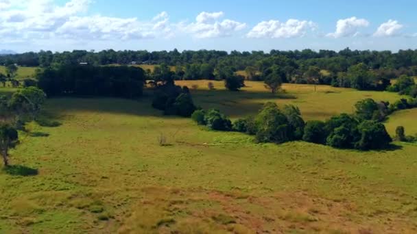 Lush Green Field Landscape Trees Rural Area Brisbane City Queensland — Stok video