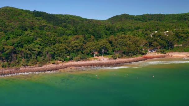 Dense Forest Mountains Turquoise Beach Tourist Surfers Noosa Heads Main — Stockvideo