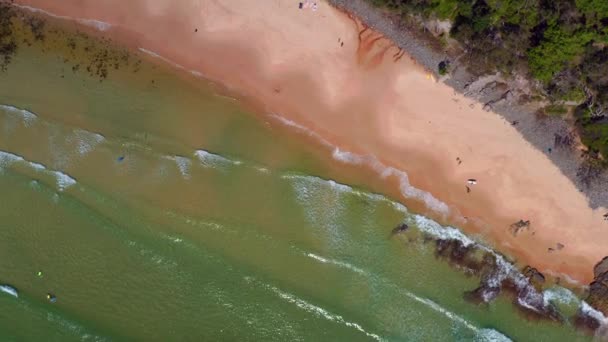 Rotating Pristine Beach Noosa National Park Noosa Heads Queensland Australia — kuvapankkivideo