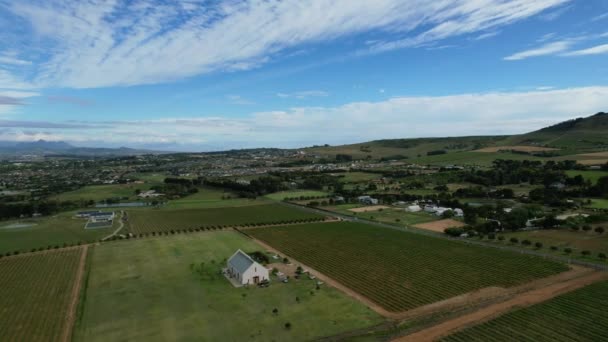 White Farm House Surrounded Green Vineyard Cape Winelands South Africa — Wideo stockowe