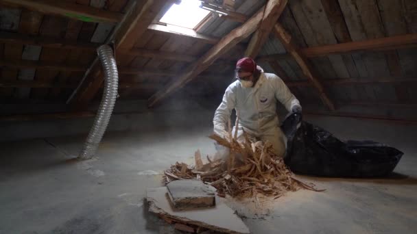 Personne Qui Porte Des Bois Morts Sur Sac Ordures Lors — Video