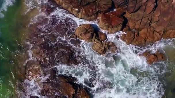Bird Eye View Foamy Waves Crashing Coastal Rocks Noosa National — Vídeo de Stock