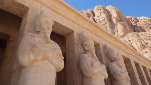 Статуи Фараонов Древнем Храме Царицы Хатшепсут Луксор Египет — стоковое видео