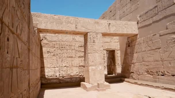 Preserved Pillar Ancient Temple Habu Temple Luxor Egypt — Video