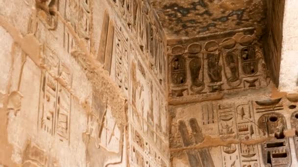 Detail Ancient Egyptian Hieroglyphs Wall Habu Temple Luxor Egypt — Video
