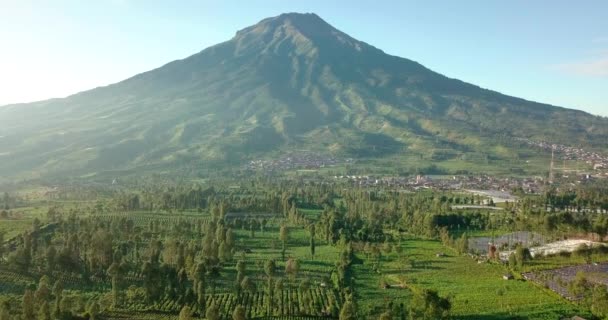 Aerial Forward Shot Gunung Sumbing Volcano Green Countryside Plantation Foreground — Stok video