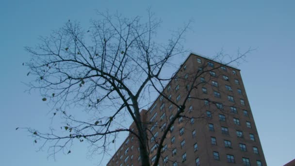 Brownsville Brooklyn Buildings Brown Brick Housing Tower Blocks Blue Sky — Stock videók