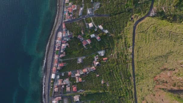 Terraced Farm Fields Madeira Mountain Slope Paul Mar Overhead Aerial — Αρχείο Βίντεο