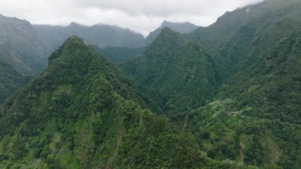 Episch Unberührtes Bergiges Gelände Mit Üppigem Dschungel Zentrales Madeira Antenne — Stockvideo