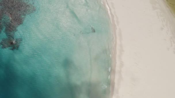 Top Aerial View Dark Cloud Shadows Passing Paradise Bay Ocean — Stock video