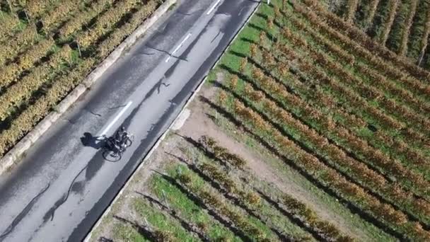 Top View Bike Driving Road Lavaux Vineyards Unesco Vaud Switzerland — Stok video