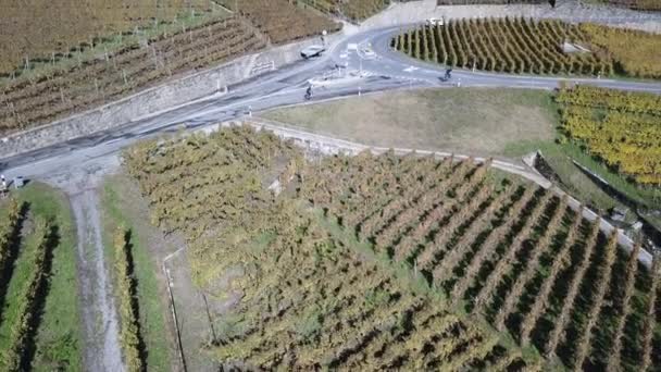 Aerial View Road Lavaux Vineyards Bikes Cars Drive Road Vaud — Vídeo de Stock