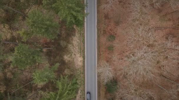 在德国的一条乡村森林路上 两辆汽车在头顶的空中拍摄 穿过了车架 慢慢上升的无人机视图 — 图库视频影像