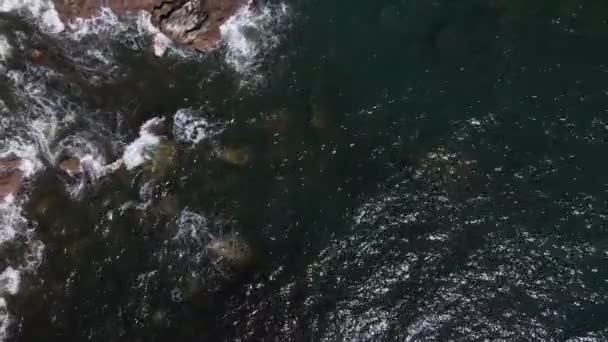 Top View Rising Drone Shot Raging Waves Pacific Ocean Playa — Video Stock