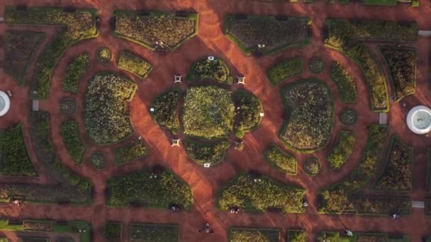 Ascending Aerial Top Shot Beautiful Park Pattern Sunset Time Buenos — Vídeo de Stock