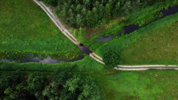 Aerial View Rocky Road Water Ford Crossing Spruce Forest River — Video Stock